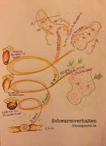 Wie läuft eigentlich das Schwärmen ab? Kleiner graphischer Exkurs.