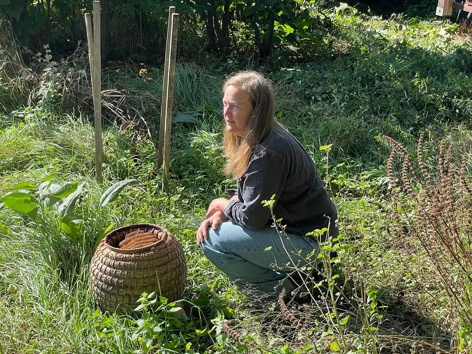 Bienenführung auf dem Dottenfelderhof mit Bienenkorb (Foto: Ruth Perk)